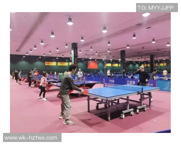 成都乒乓球队运营模式解析与发展前景探讨